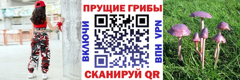 Галлюциногенные грибы GOLDEN TEACHER  Мыски 